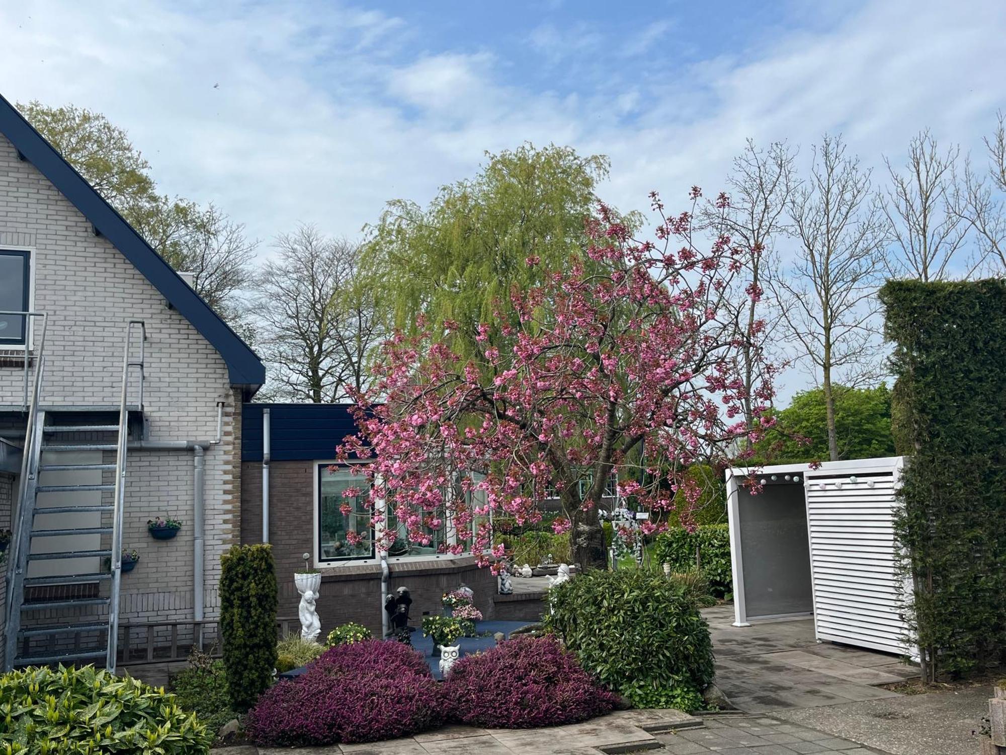 B&B Dol - Fijn Benningbroek Ngoại thất bức ảnh